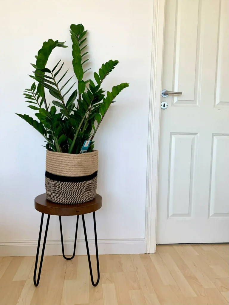 dębowy taboret loft